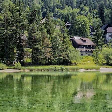 A Million Dollar View Lägenhet Kranjska Gora Exteriör bild