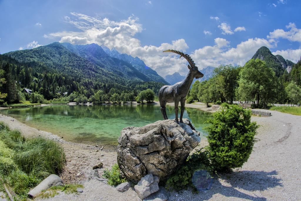 A Million Dollar View Lägenhet Kranjska Gora Exteriör bild